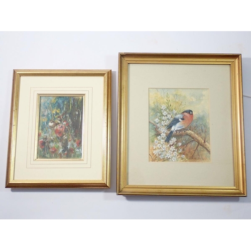 1151 - Charlie Baldwyn - watercolour of a bullfinch and another of birds amongst meadow flowers, 14.5 x 10c... 