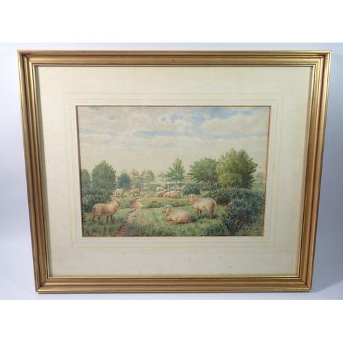 1181 - Henry J Rhodes - watercolour 'Sheep on Mitcham Common, Surrey', 25 x 35cm