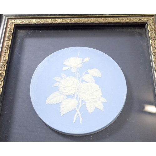 128 - A Worcester experimental pate sur pate circular plaque depicting roses, 12cm diameter, framed