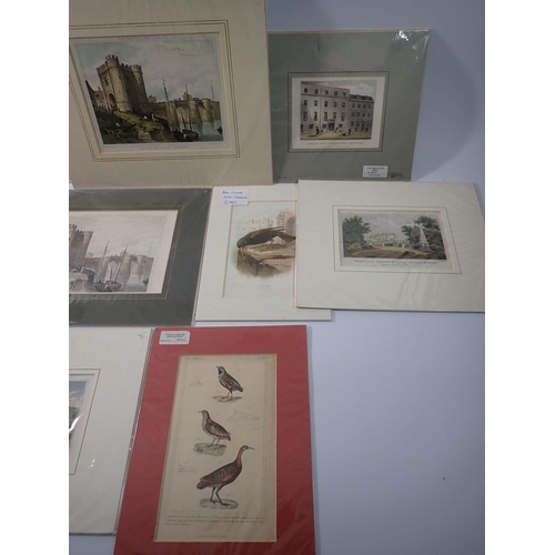 1308 - A group of ten mounted but unframed prints including some of Gloucester and Cheltenham, largest 19 x... 