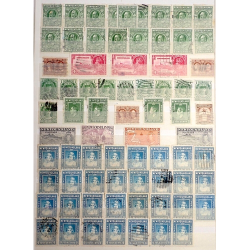 811 - British Empire/Commonwealth stamps: Boxed QV-QEII collection in 3 large, sleeved,24-leaf stock-books... 