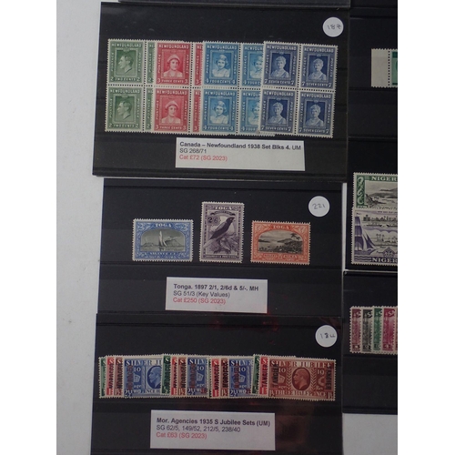 857 - British Empire: Mint and used QV-QEII, countries N to S on 21 stock-cards; definitives, commemorativ... 