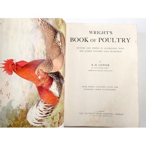 974 - Wright's Book of Poultry revised and edited edition by S H Lewer London, The Waverley Book Company