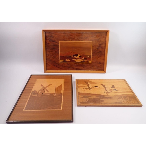 1163 - A marquetry tray, 45 x 30cm and three marquetry pictures plus egg timer, box and various treen