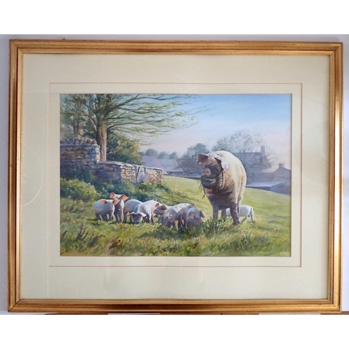 1069 - Brian A Crosby - watercolour pig and piglets, 41 x 59cm