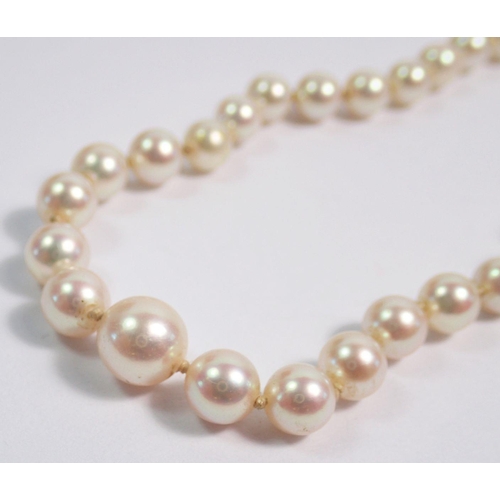 370 - A single row pearl necklace with 9 carat gold pearl cluster clasp, 47cm