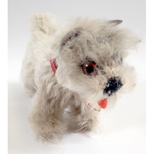 526 - A 1960s Steiff Tessie Schnauzer dog, 10cm