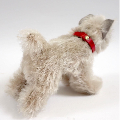 526 - A 1960s Steiff Tessie Schnauzer dog, 10cm