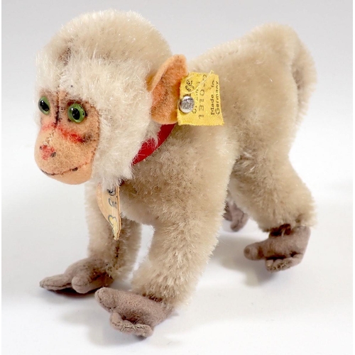 527 - A 1950's Steiff mohair Coco baboon monkey, tag No 1310.0 and button, 10cm tall