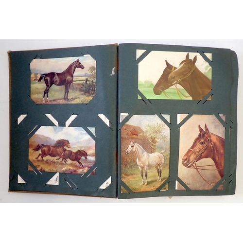 620 - A horse themed postcard album approx. 190 cards