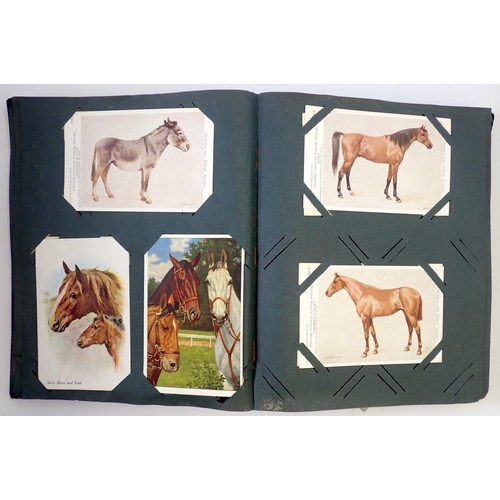 620 - A horse themed postcard album approx. 190 cards