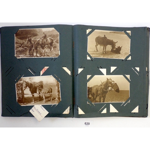 620 - A horse themed postcard album approx. 190 cards