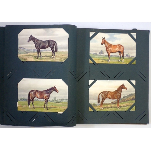 620 - A horse themed postcard album approx. 190 cards