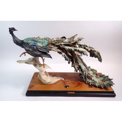 64 - A Giuseppe Armani limited edition peacock on wooden base, 1923/5000, crest a/f, 48cm wide