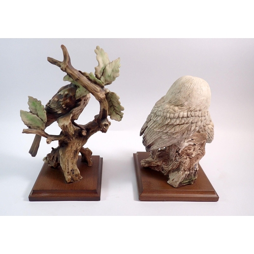 65 - A Giuseppe Armani snowy owl with chick on wooden base and a song thrush on wooden base, 28cm tall (2... 