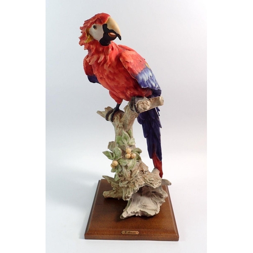 66 - A Giuseppe Armani study of a parrot on plinth, 39cm tall