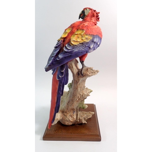 66 - A Giuseppe Armani study of a parrot on plinth, 39cm tall