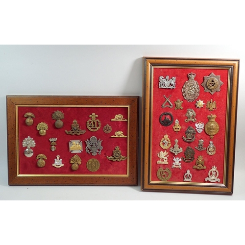 701 - A framed display of twenty four military cap badges incluidng Artists Rifles, Wiltshire regiment etc... 