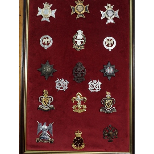 704 - A framed display of seventeen military cap badges including The Queens Royal Hussars etc. and a fram... 