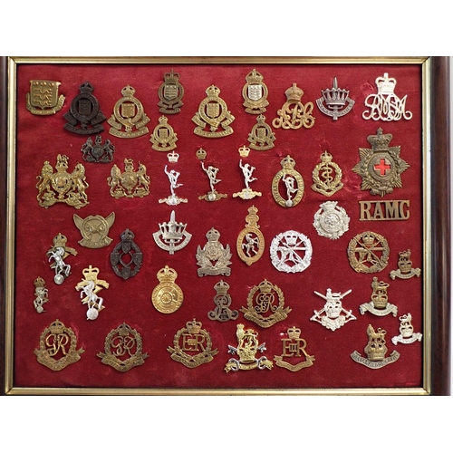 707 - A framed display of forty eight military cap badges including Military Police, Army Ordanance etc. a... 