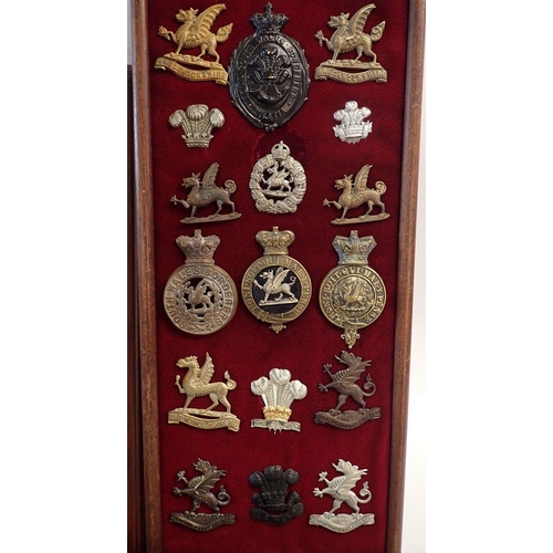 713 - A framed display of sixteen Royal Engineers military cap badges, a framed display of seventeen Welsh... 