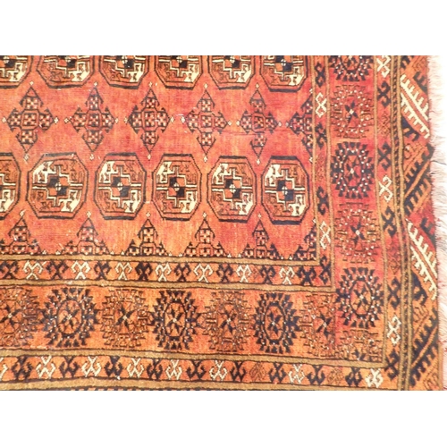 910 - A Turkoman style rug with two rows of guls on a rust ground, 169 x 115cm