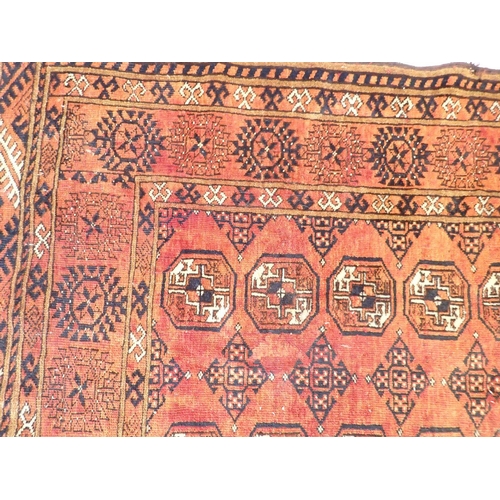 910 - A Turkoman style rug with two rows of guls on a rust ground, 169 x 115cm