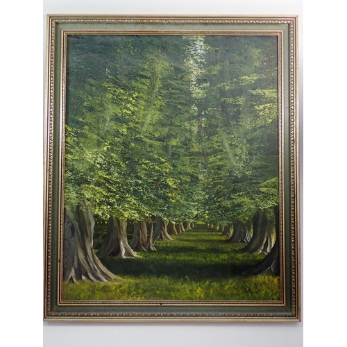 1157 - Gallagher - oil avenue of trees signed , 60 x 49cm