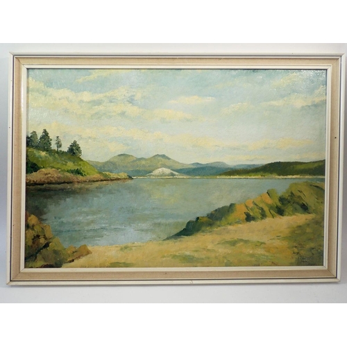 1163 - Norman Brand - oil on canvas board 'Borthy Gest' lake landscape, 39 x 59cm