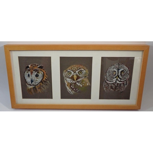 1166 - Three pastel owl pictures framed as one, each 17 x 12cm