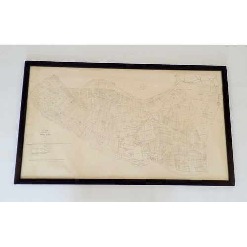 1202 - A 19th century plan map of the Lordship Oakley Rennes, 59 x 105cm