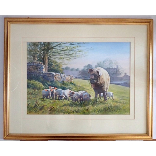 1207 - Brian A Crosby - watercolour pig and piglets, 41 x 59cm