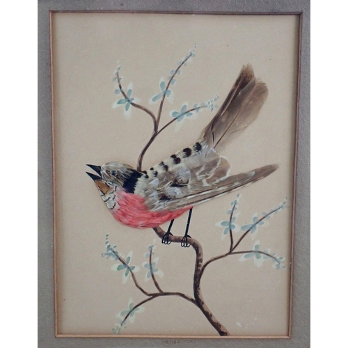 1222 - A pair of 19th century watercolour and feather collage bird pictures, 22 x 16cm