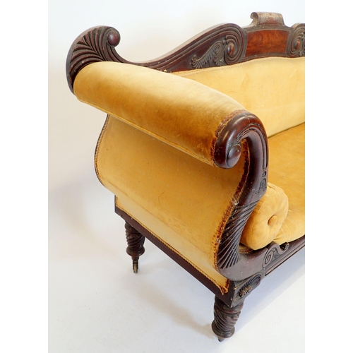 1316 - A fine Regency mahogany sofa with carved scroll back, scroll over arms and turned supports, 205cm wi... 