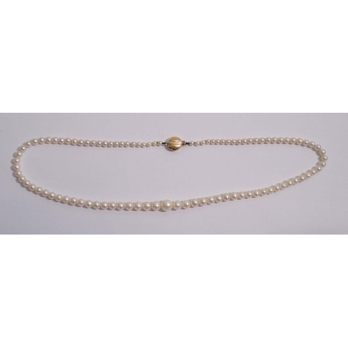 345 - A string of pearls by J Kohle with 9 carat gold two tone clasp, 42cm long