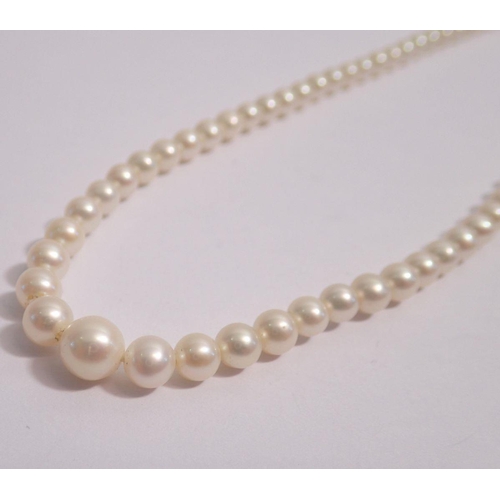 345 - A string of pearls by J Kohle with 9 carat gold two tone clasp, 42cm long