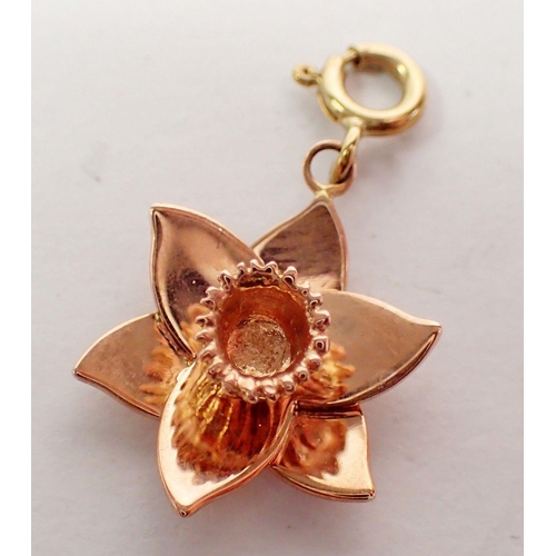 525 - A Clogau 9 carat rose gold daffodil pendant/charm on yellow metal clasp, boxed with COA, 3g, daffodi... 