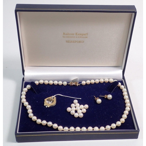 548 - A string of pearls with 9 carat gold clasp and a pair of 9 carat gold pearl stud earrings in Andrew ... 