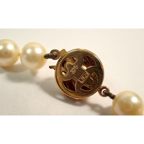 551 - A string of pearls with 9 carat gold clasp, 47.5cm