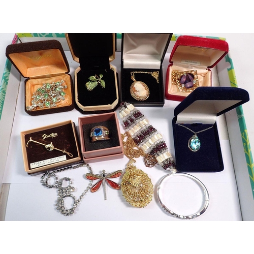 568 - Various costume brooches, cameo necklace etc.