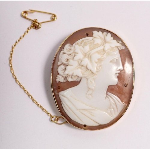 529 - A 19th century cameo brooch in 9 carat gold surround, 3.8 x 3.2cm