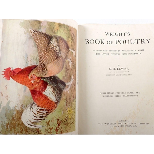 777 - Wright's Book of Poultry by S H Lower, thirty colour plates