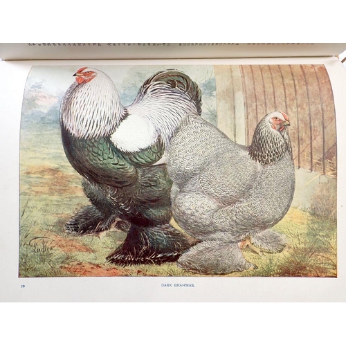 777 - Wright's Book of Poultry by S H Lower, thirty colour plates