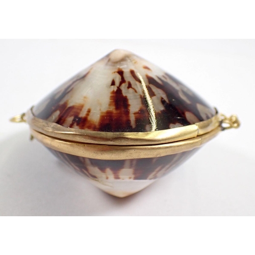 844 - A shell form box with gilt metal mounts, 6.5cm long