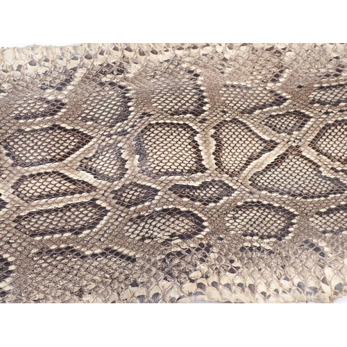 914 - A dried snakeskin 284cm approx.