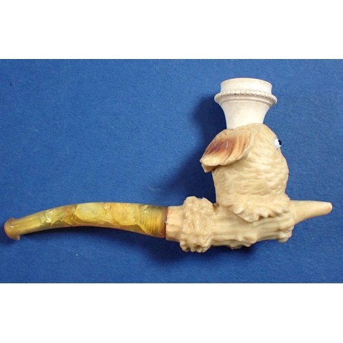 1004 - A 19th century meerschaum pipe in the form of a parrots head holding a berry in his beak, in fitted ... 