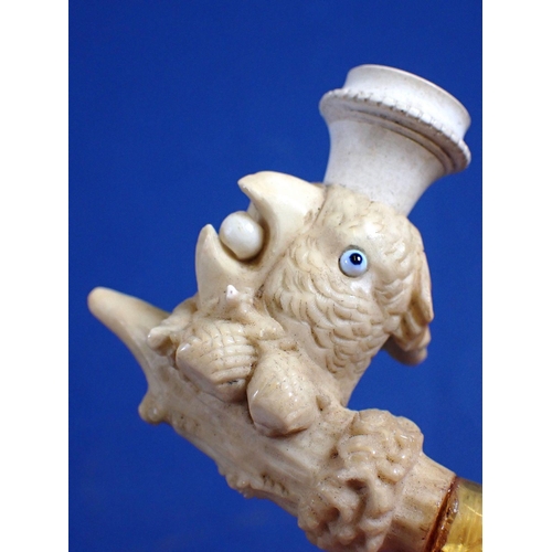 1004 - A 19th century meerschaum pipe in the form of a parrots head holding a berry in his beak, in fitted ... 