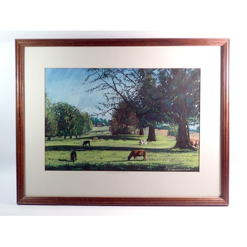 1099 - D Martin Williams - pastel of a meadow with cattle 'Looking Glass Meadow', 35 x 52cm