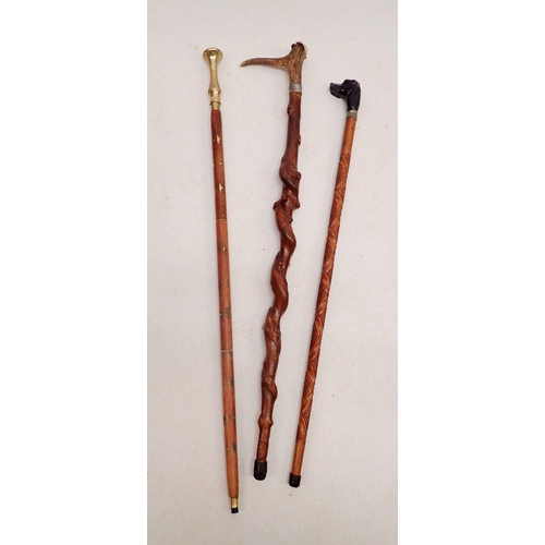 1159 - A dogs head walking cane, a horn handled rustic walking stick and one other