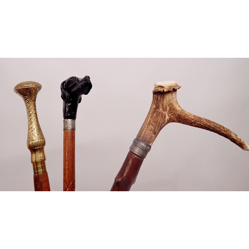 1159 - A dogs head walking cane, a horn handled rustic walking stick and one other